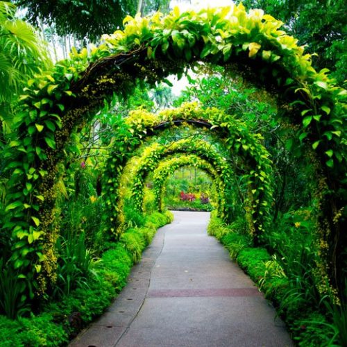 dimensioning-botanic-garden garden 3D laser scanning