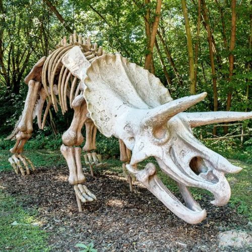 replicate-dinosaur-bones digitise historic remains